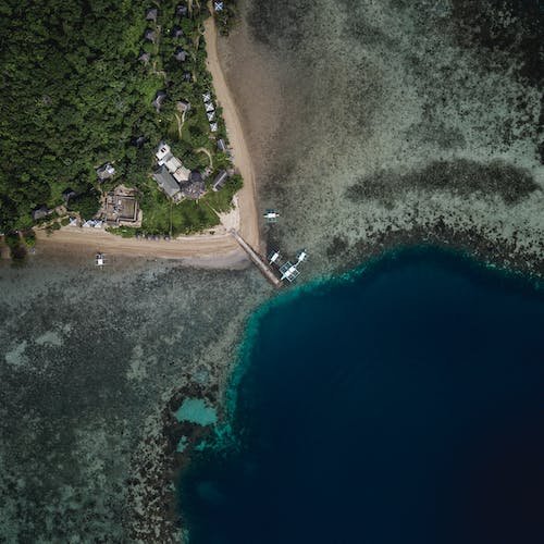 Aliquet faucibus odio integer molestie faucibus ut id aliquam in amet