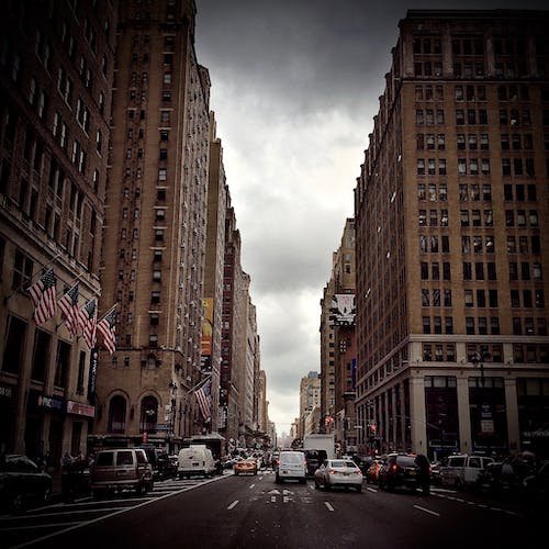 Viverra egestas ultricies maecenas est volutpat