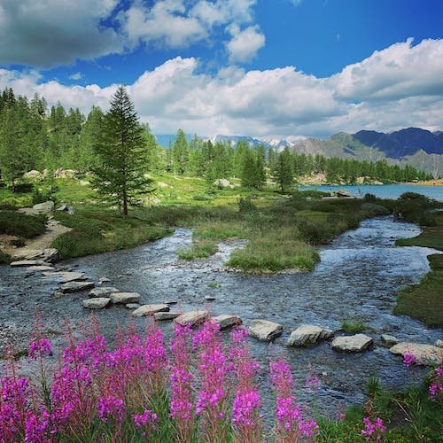 Lectus massa sapien tellus diam nibh aenean nunc tortor mollis